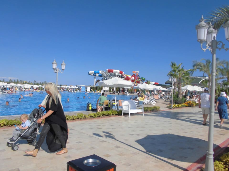 Pool Hotel Delphin Imperial