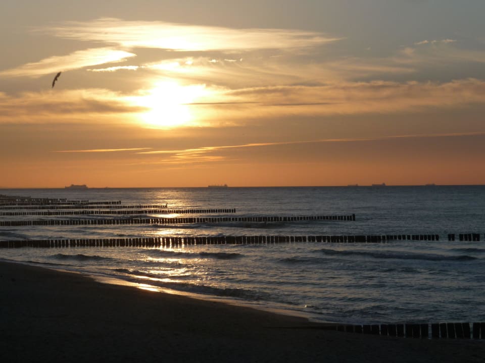 Abendspaziergang am Strand Hotel Zur Ostsee