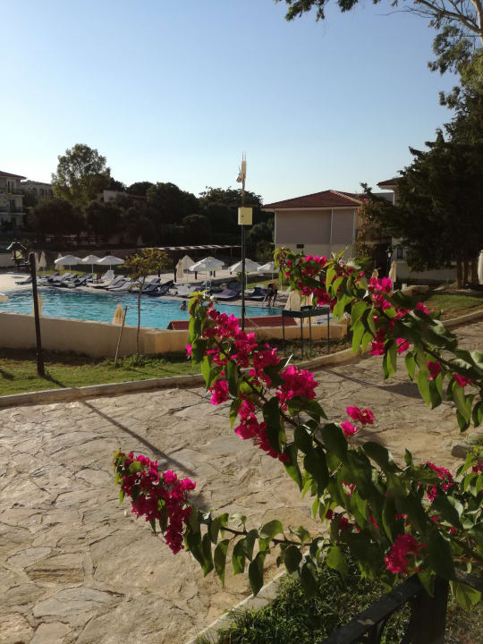 Pool Club Resort Atlantis