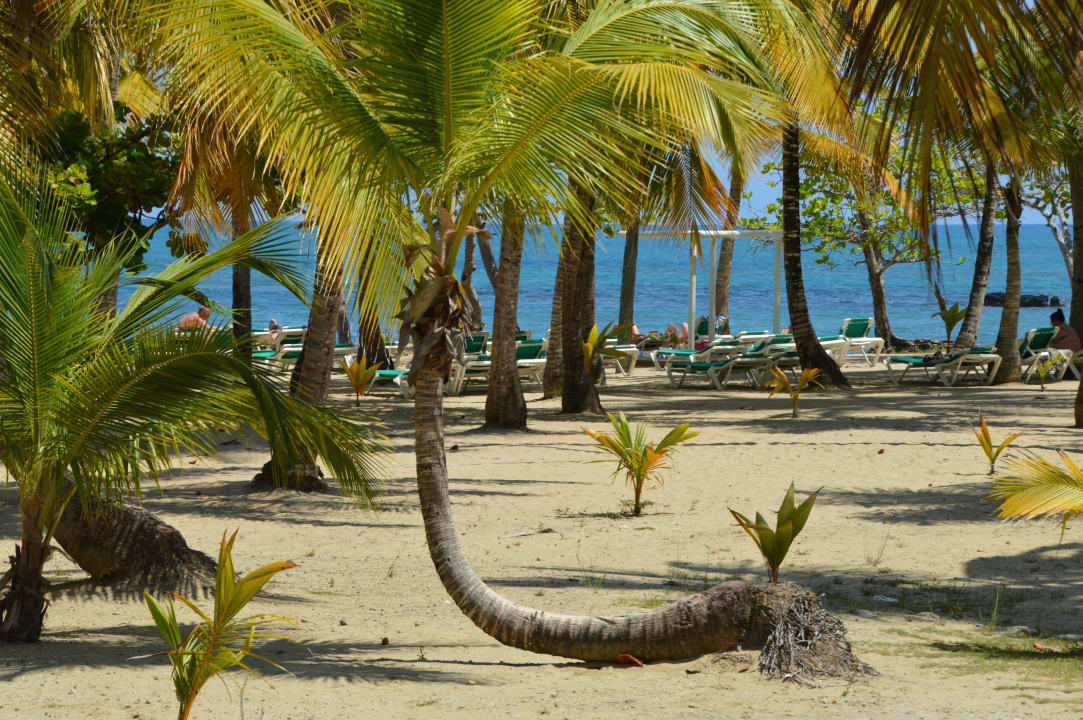 Strand Playabachata Hotel