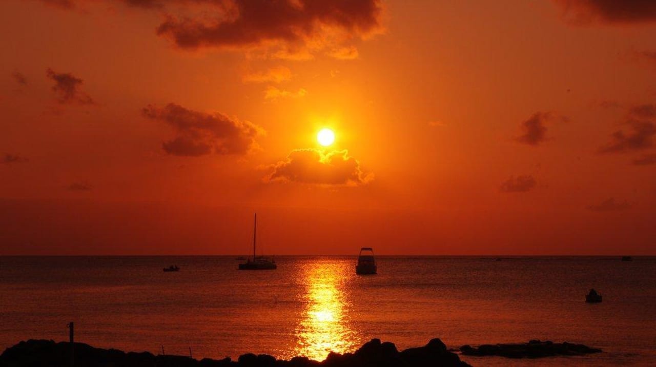 Sonnenuntergang Flowers of Paradise with LOV