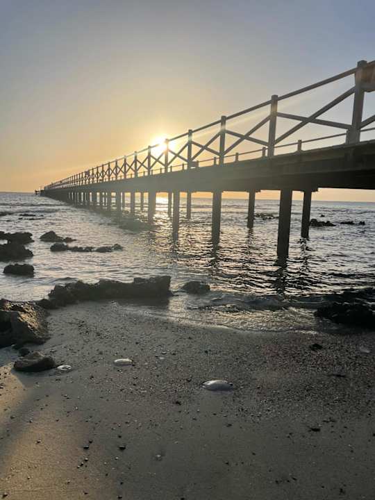 Strand JAZ Elite Amara