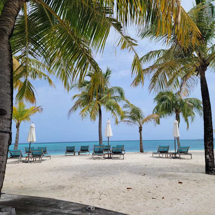 Gastro Kuredu Island Resort & Spa