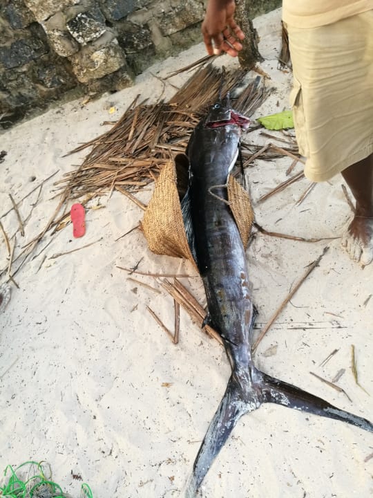 Strand Hotel Southern Palms Beach Resort