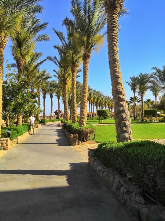 Gartenanlage Pickalbatros Royal Moderna Resort-Sharm El Sheikh