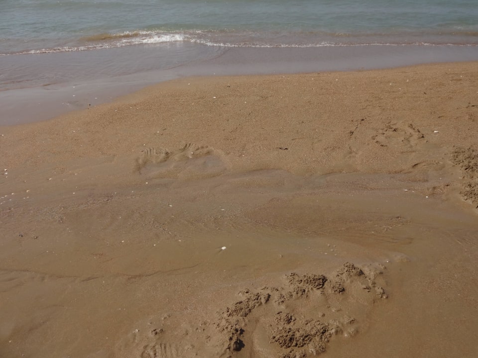 Feiner, flacher Sandstrand Adalya Ocean Deluxe