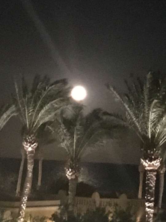 Gartenanlage Grand Makadi