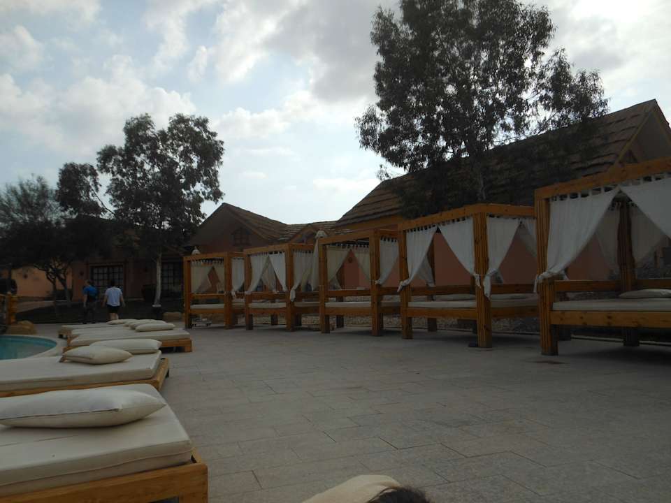 Betten & Liegen am Pool Pickalbatros Jungle Aqua Park Resort - Neverland Hurghada
