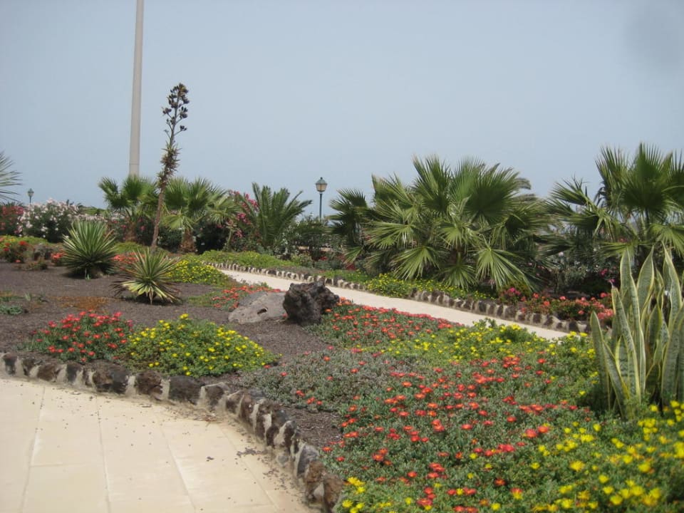 Gartenanlage Elba Carlota Beach & Golf Resort