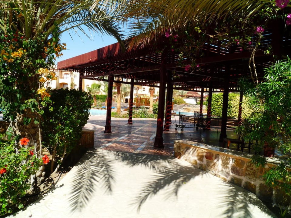 Coraya Beach, Garten Steigenberger Coraya Beach - Adults only