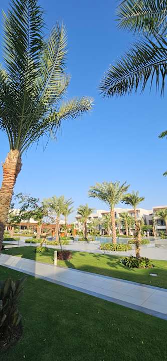 Gastro JAZ Elite Amara