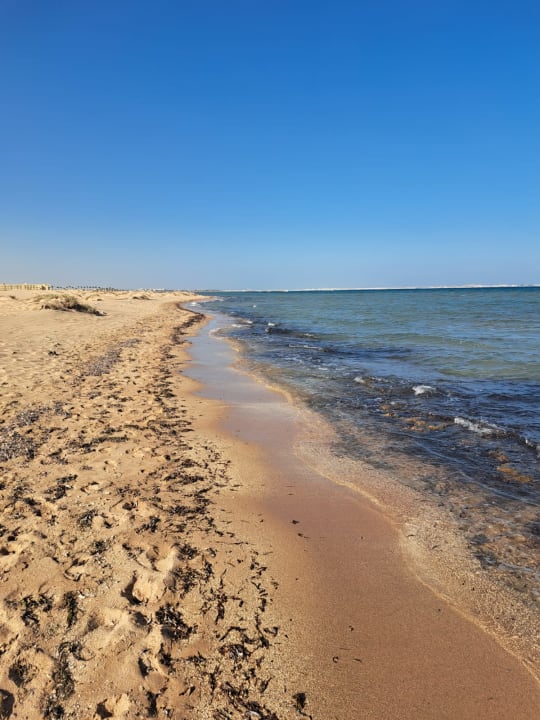 Strand Shams Prestige Abu Soma-Adults Only