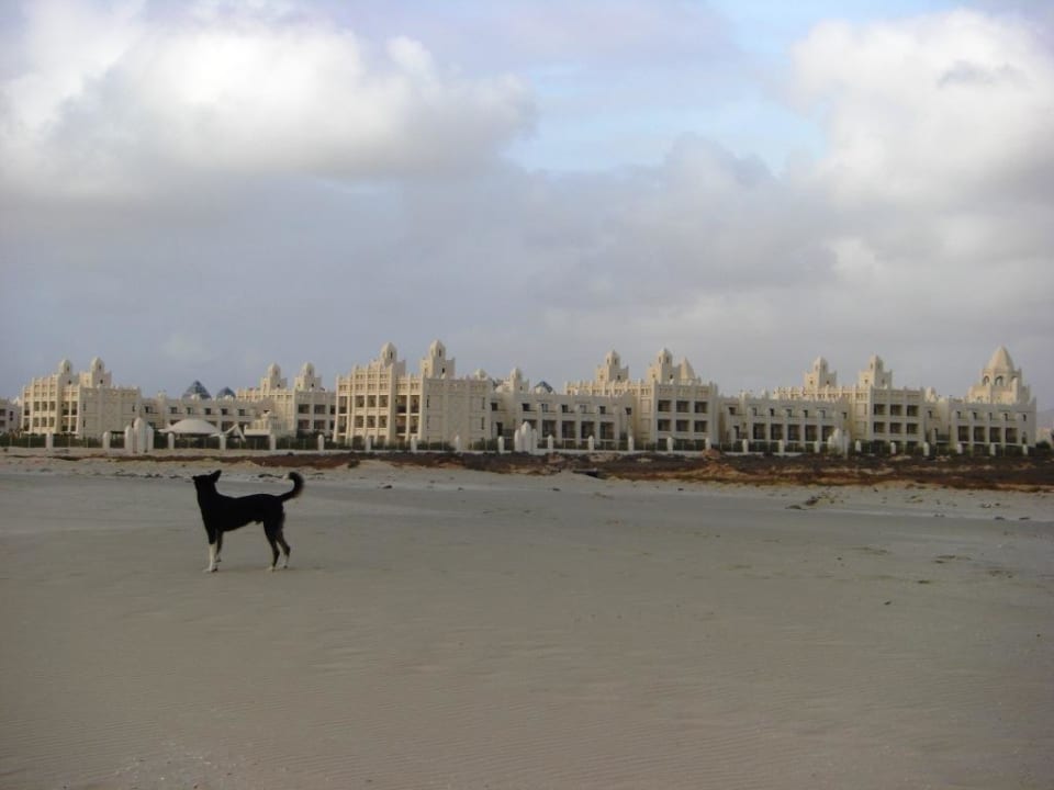 Rusty vor dem Hotel Hotel Riu Karamboa