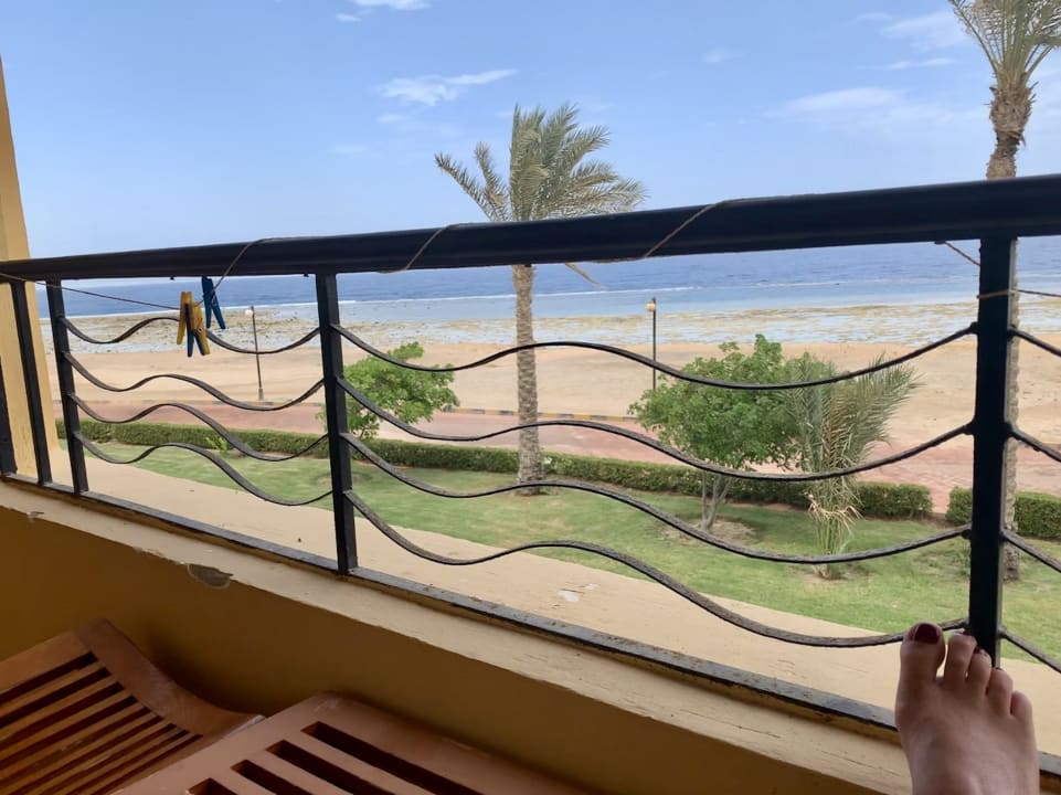 Ausblick Malikia Resort Abu Dabbab