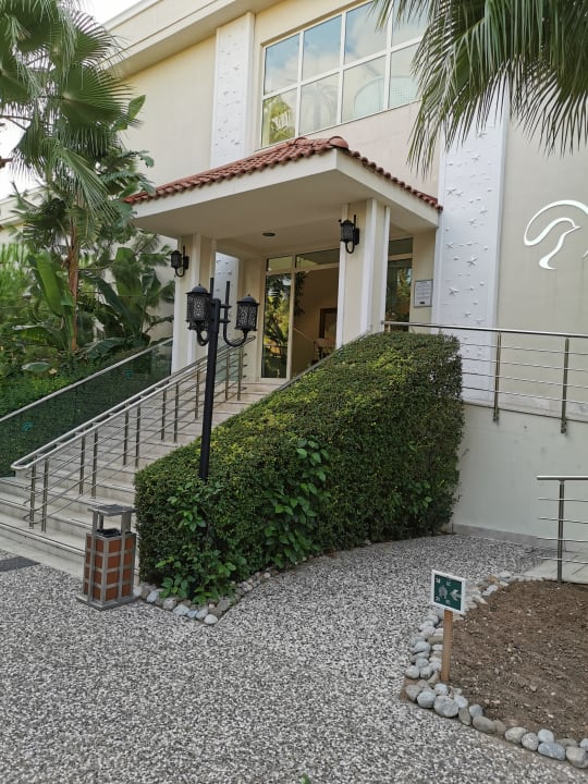 Gastro Paloma Oceana