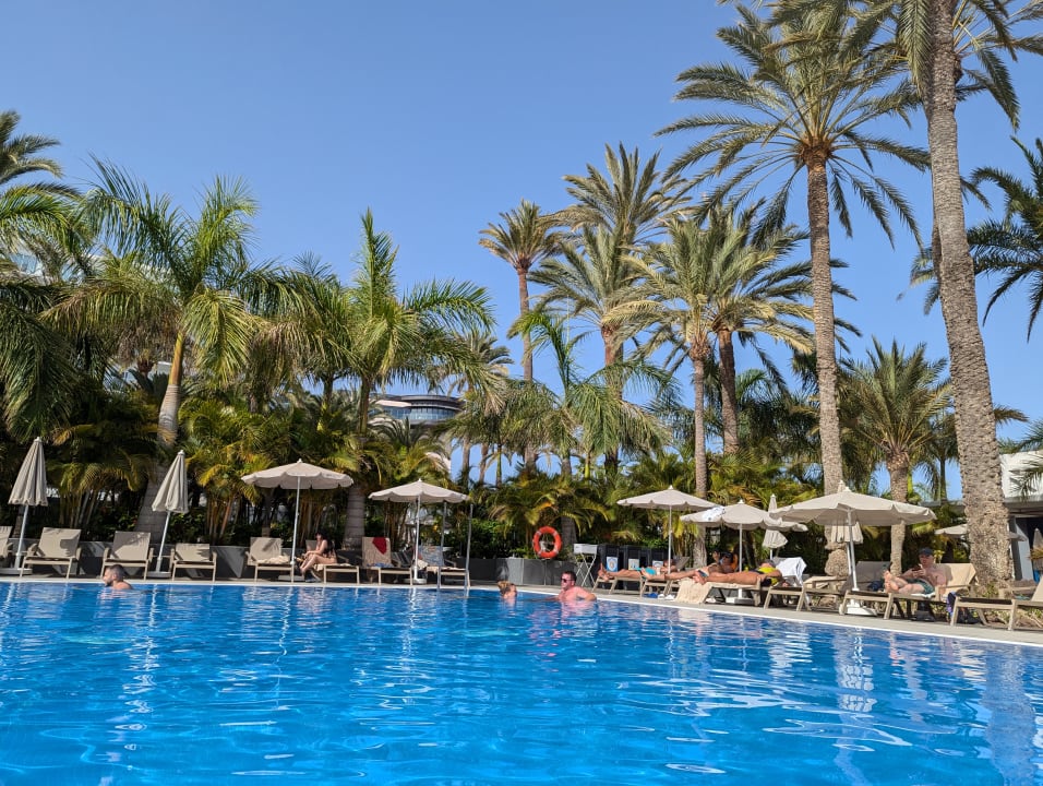 Pool Hotel Riu Palace Palmeras