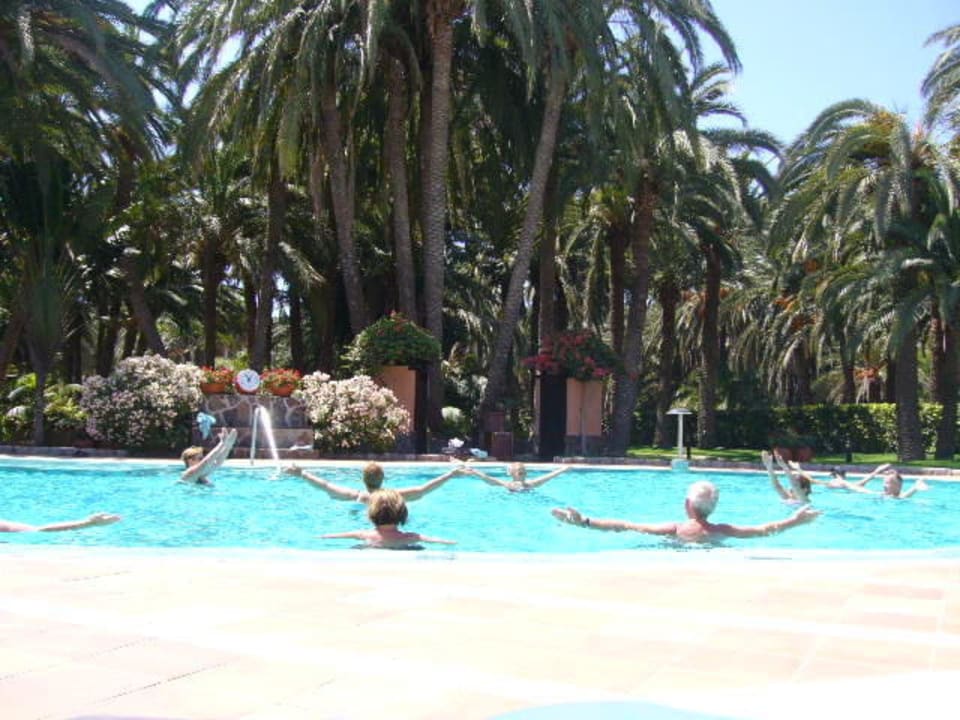 Wassergymnastik Seaside Hotel Palm Beach