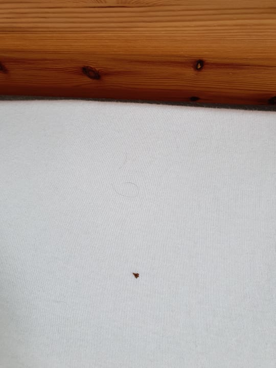 Zimmer Pension Jakl-Hof