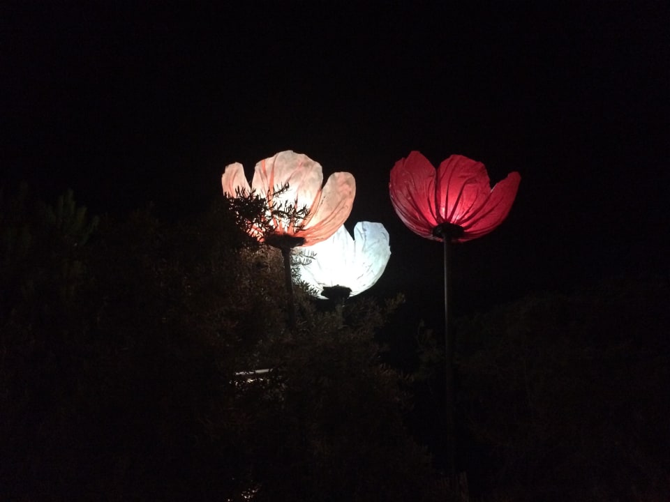 Gartenabend Side Alegria Hotel & Spa - Adults only +16