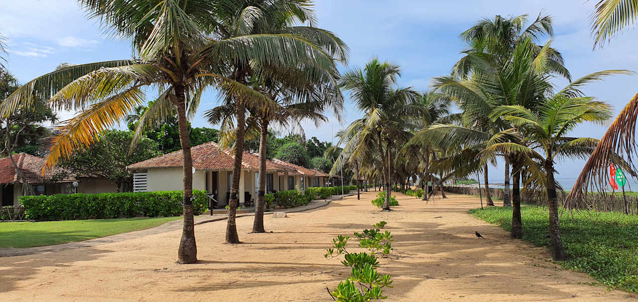 Gartenanlage Club Hotel Dolphin