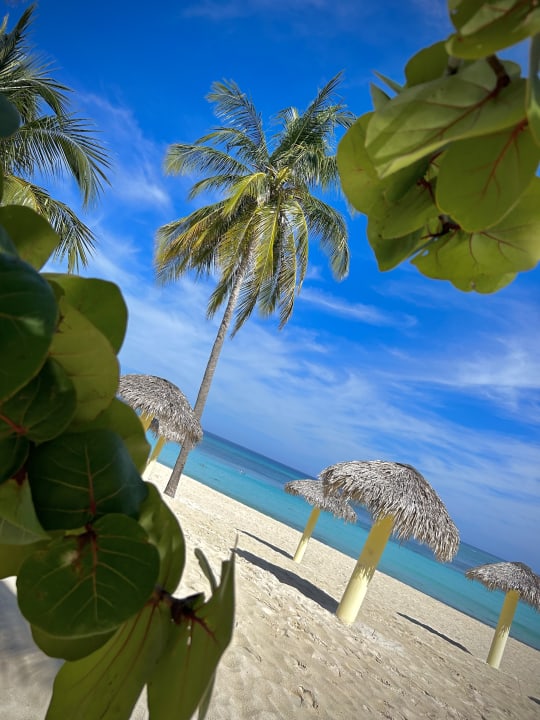 Strand Sol Rio De Luna y Mares