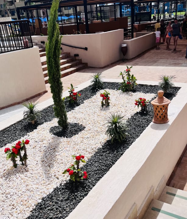 Pool Pickalbatros Sands Hotel - Port Ghalib