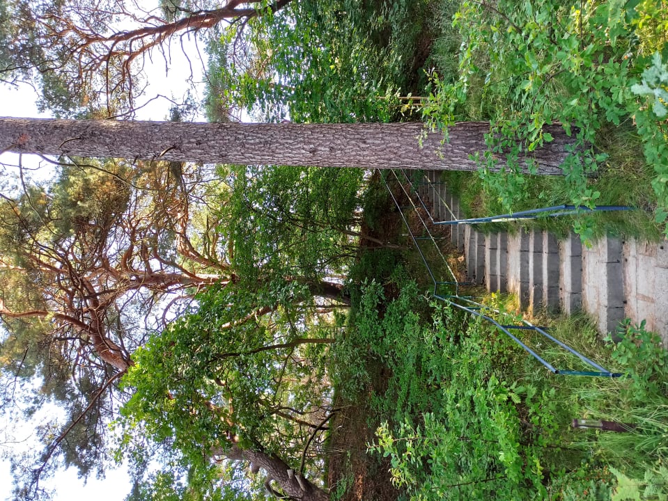 Außenansicht Upstalsboom Trassenheide Usedom