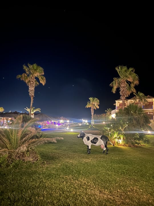 Gartenanlage Hotel Kalithea Horizon Royal