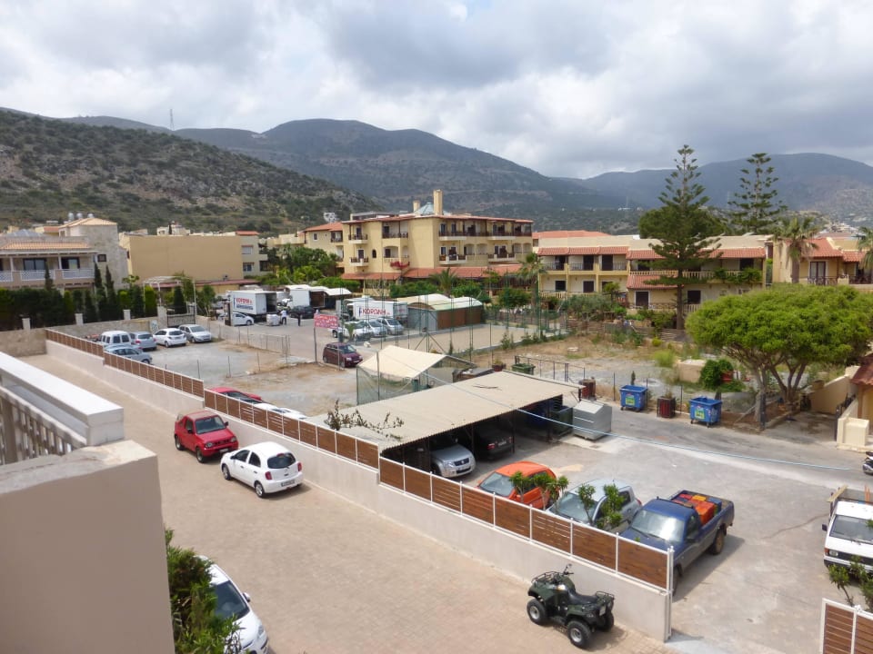 Zimmer 151 Cactus Royal