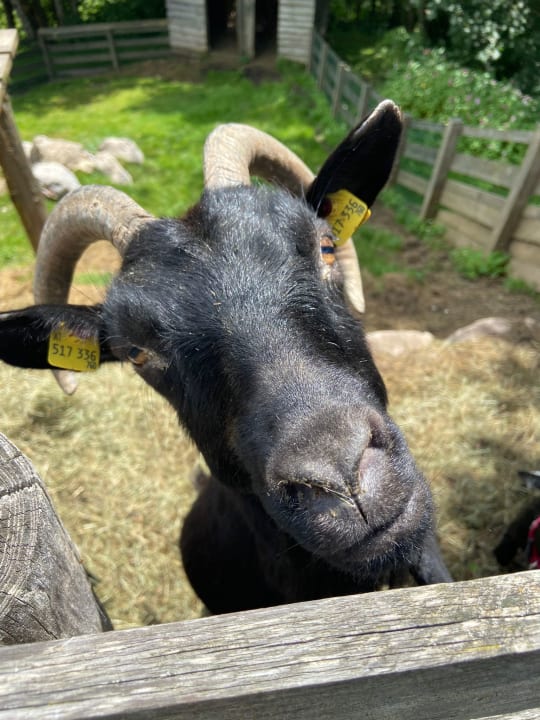 Sonstiges Ferienhof Obertenn