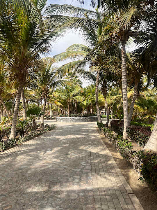 Gartenanlage Hotel Riu Cabo Verde