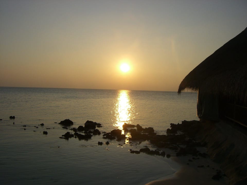 Hotel Summer Island Village Summer Island Maldives