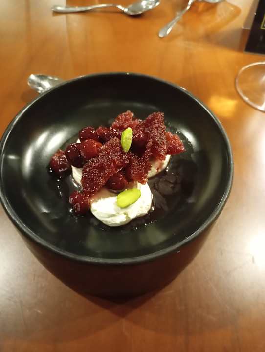 Gastro Acanthus Cennet Barut Collection