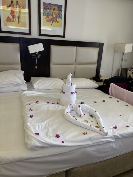 Zimmer Pickalbatros White Beach Resort - Hurghada