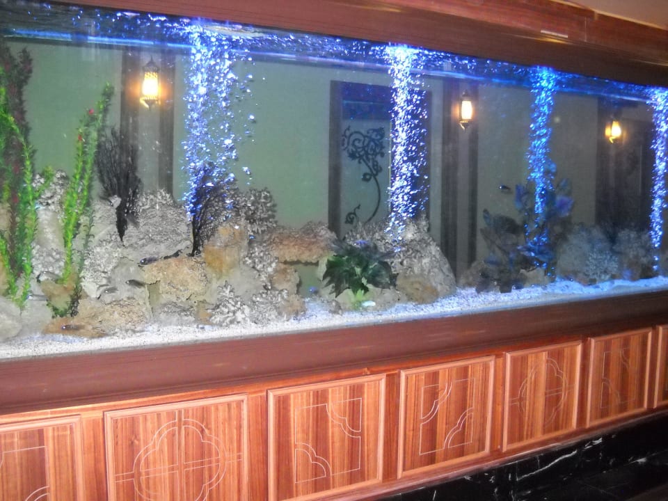 СПА Hotel Delphin Imperial