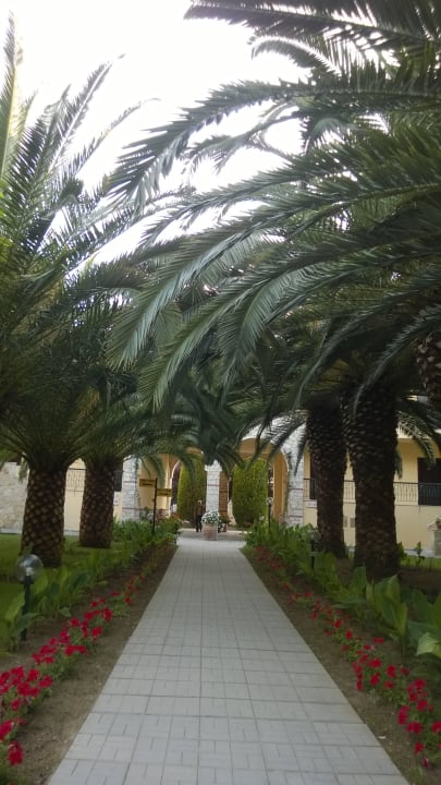 Palm alley Hotel Portes Beach