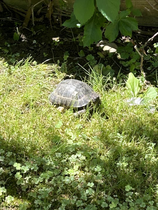 Gartenanlage Labranda Alantur Resort
