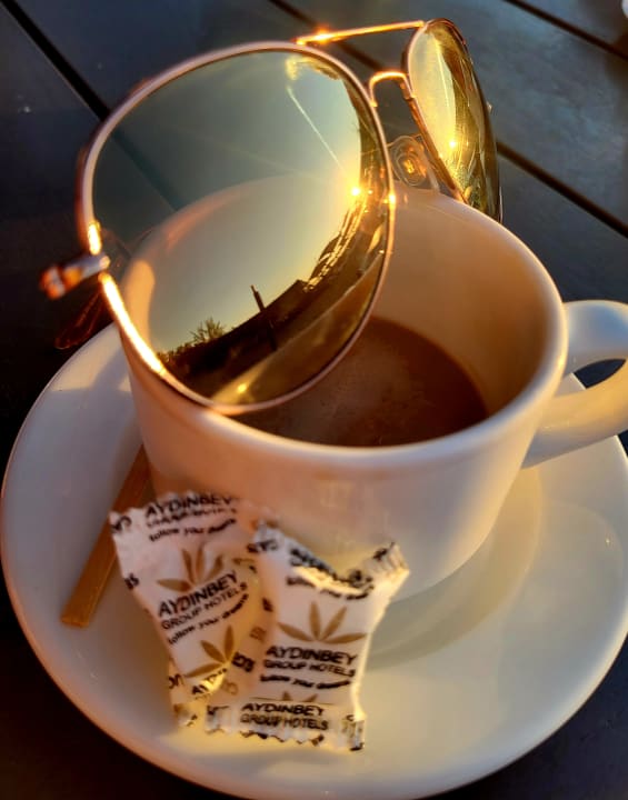 Gastro Aydinbey Kings Palace & Spa