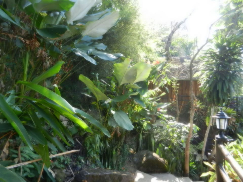 Weg zum strand Baan Krating Khao Lak Resort