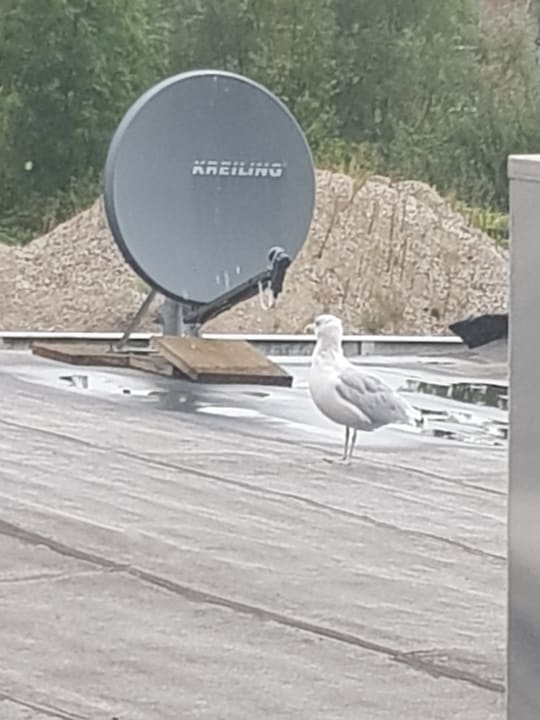 Sonstiges Viva Hotel by Vier Jahreszeiten