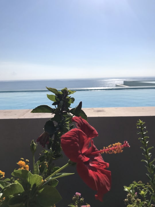 Ausblick Atrium Prestige Thalasso Spa Resort & Villas