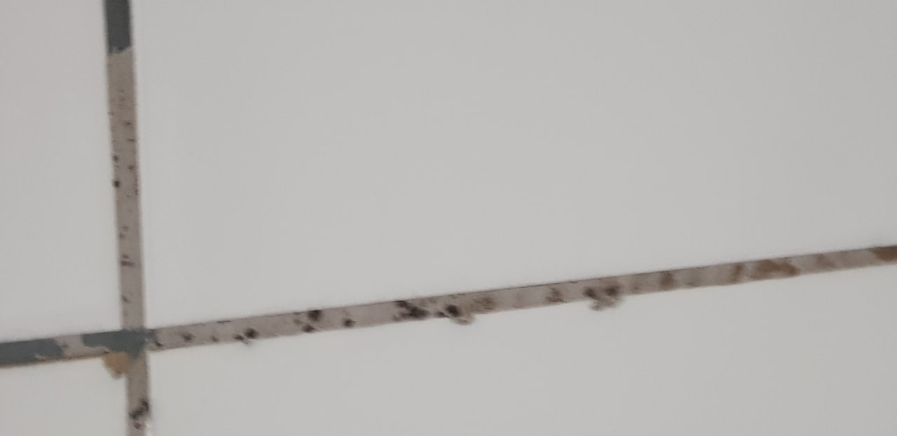 Zimmer Oz Hotels Incekum Beach