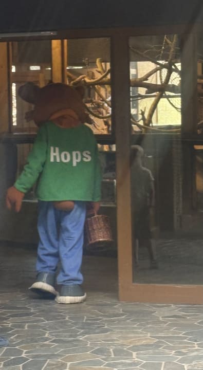 Sport & Freizeit Ferienwohnungen Ferienpark Weissenhäuser Strand