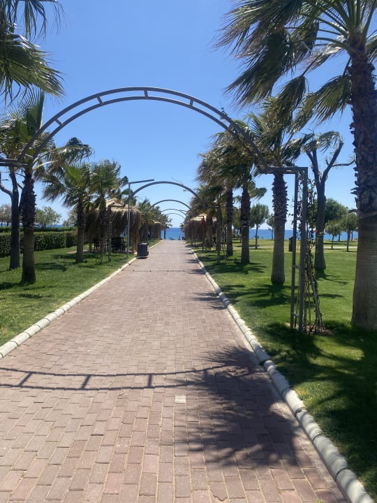 Außenansicht TUI MAGIC LIFE Jacaranda