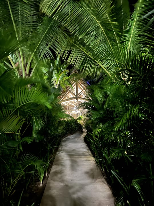 Gartenanlage Sunrise Attitude - Adults Only