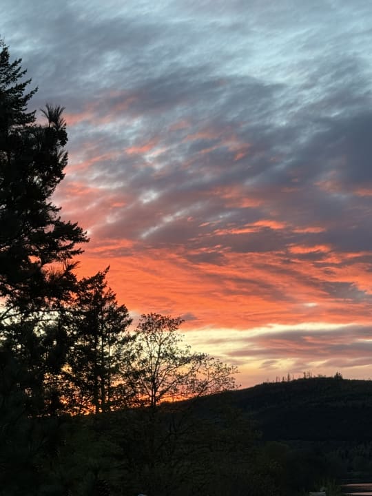 Ausblick Göbel's Seehotel Diemelsee