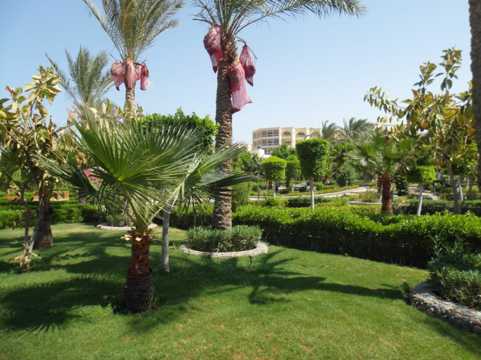 Garten Le Jardin Aqua Park Resort