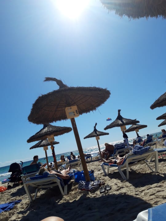 Strand Globales Bouganvilla