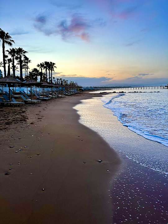 Strand Voyage Sorgun