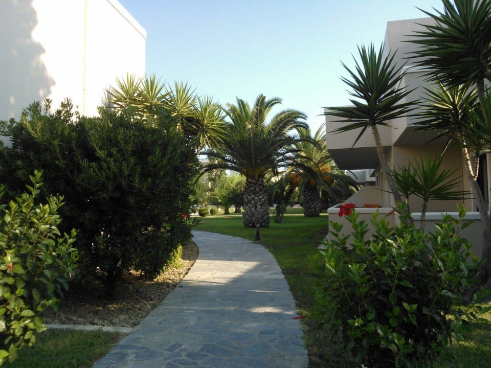 Ścieżka w ogrodzie Hotel Esperia